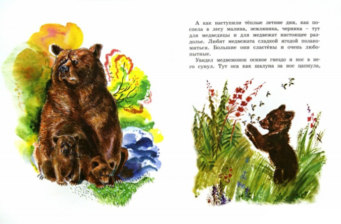 Как медведь в лесу живет. Озорные книжки фото 2