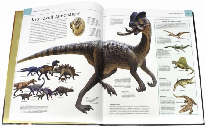 Динозавры. Иллюстрированный атлас фото 2