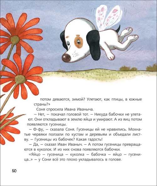 Собачка Соня на даче фото 3
