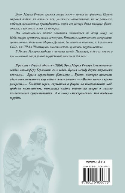 Черный обелиск. Возвращение с Западного фронта фото 2