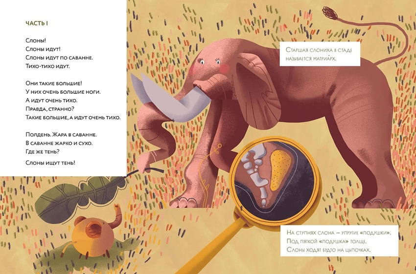 Слоны идут! Книжный старт. Уровень 2 фото 8