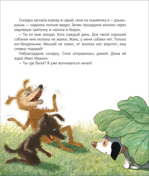 Собачка Соня на даче фото 5