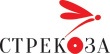 Стрекоза